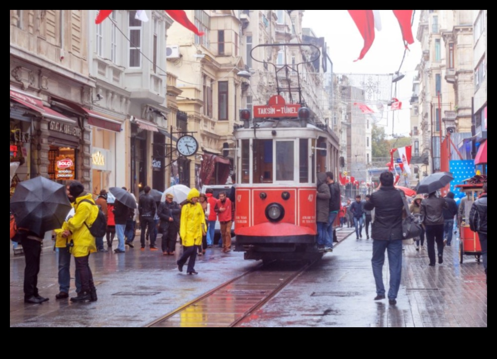 Trail Tales: Rehberli Yürüyüş Turlarından Hikayeler